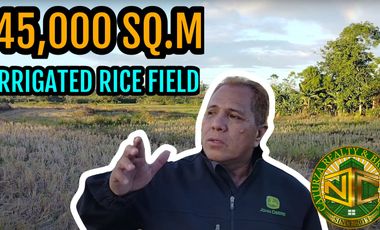 Lot for sale 45,000 sqm irrigated Ricefield Alicia Bohol Philippines 100/sqm negotiable