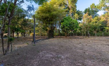 Countryside Cottage 2 rai Muang Sam Sip Ubon Ratchathani