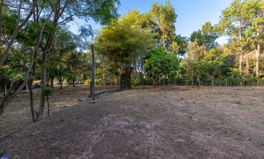 Countryside Cottage 2 rai Muang Sam Sip Ubon Ratchathani