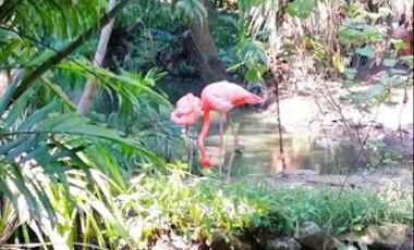 T011 - Venta Terreno Urbanización Lago de Capeira - Guayaquil