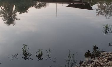 vendo linda finca productiva en lejanías meta vereda aguas claras