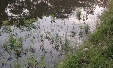 vendo linda finca productiva en lejanías meta vereda aguas claras