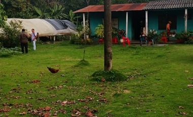 vendo linda finca productiva en lejanías meta vereda aguas claras