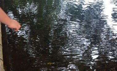 vendo linda finca productiva en lejanías meta vereda aguas claras