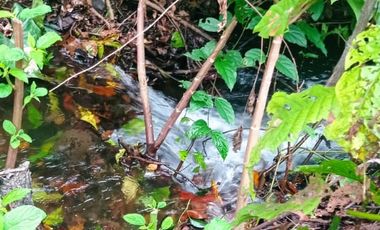 vendo linda finca productiva en lejanías meta vereda aguas claras