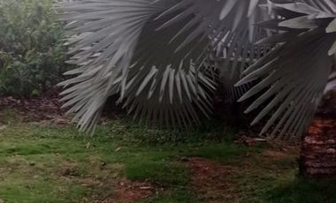 vendo linda finca productiva en lejanías meta vereda aguas claras