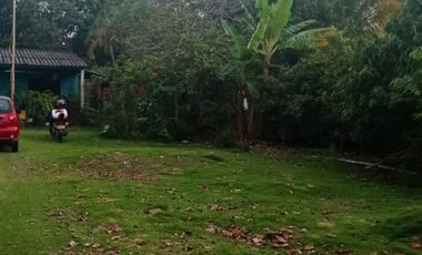 vendo linda finca productiva en lejanías meta vereda aguas claras