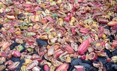 vendo linda finca productiva en lejanías meta vereda aguas claras