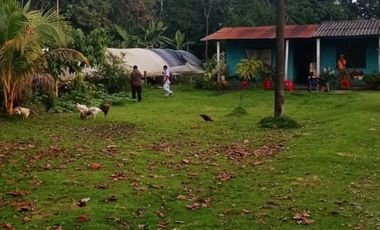 vendo linda finca productiva en lejanías meta vereda aguas claras