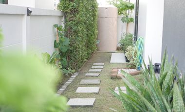 Pet-friendly 4 Bedroom Single House for Rent in Britania Bangna-Suvarnabhumi