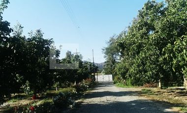 PARCELA EN CHUMAQUITO