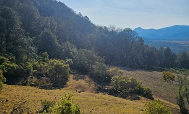 TERRENO UBICADO A MINERAL DEL MONTE CIENEGA LARGA $400 EL M2