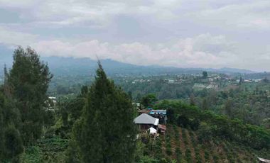 Kebun View Lembah di Kintamani Bangli Bali