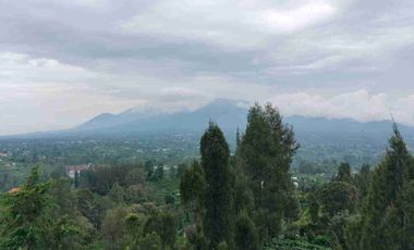 Kebun View Lembah di Kintamani Bangli Bali