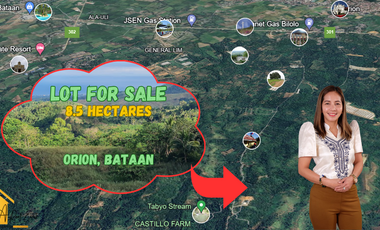 Lot for sale in Bataan