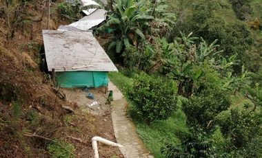 Venta Finca Ganadera y Porcícola San Roque Antioquia