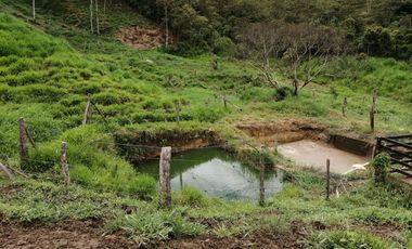Venta Finca Ganadera y Porcícola San Roque Antioquia