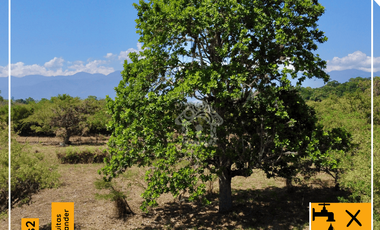 VENTA LOTE RURAL BARICHARA