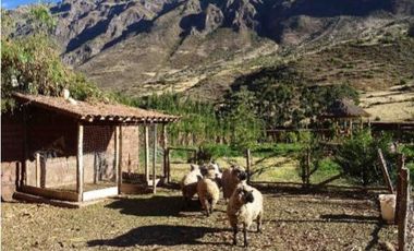 Terreno en Cusco en Calca 4,764 m2