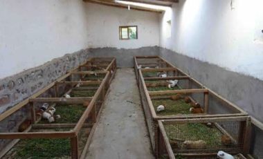 Terreno en Cusco en Calca 4,764 m2