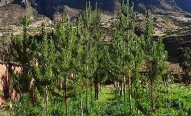 Terreno en Cusco en Calca 4,764 m2