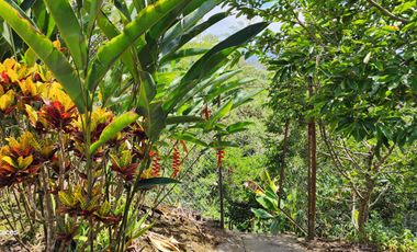 SE VENDE ESCTACULAR CASA FINCA EN SILVANIA