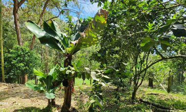 SE VENDE ESCTACULAR CASA FINCA EN SILVANIA