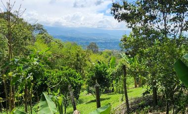 SE VENDE ESCTACULAR CASA FINCA EN SILVANIA