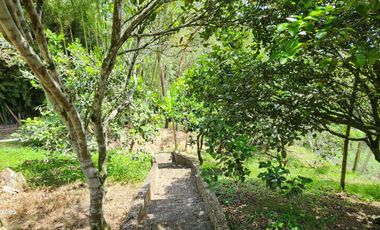 SE VENDE ESCTACULAR CASA FINCA EN SILVANIA