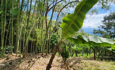 SE VENDE ESCTACULAR CASA FINCA EN SILVANIA