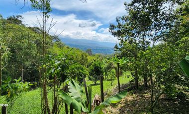 SE VENDE ESCTACULAR CASA FINCA EN SILVANIA