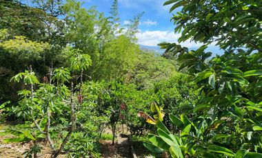 SE VENDE ESCTACULAR CASA FINCA EN SILVANIA
