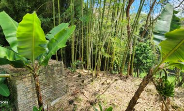 SE VENDE ESCTACULAR CASA FINCA EN SILVANIA