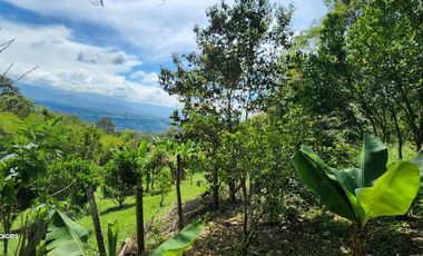 SE VENDE ESCTACULAR CASA FINCA EN SILVANIA