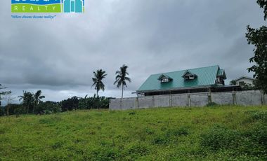 House and Lot For Sale at Ilaya, Hornalan! Calamba!