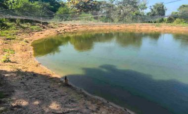 FINCA EN VENTA PUERTO BADEL ESPECIAL PARA PISCICULTURA - TEKA.