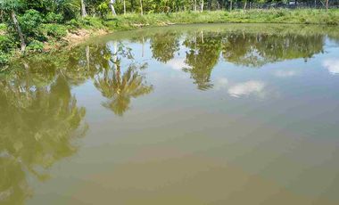 FINCA EN VENTA PUERTO BADEL ESPECIAL PARA PISCICULTURA - TEKA.