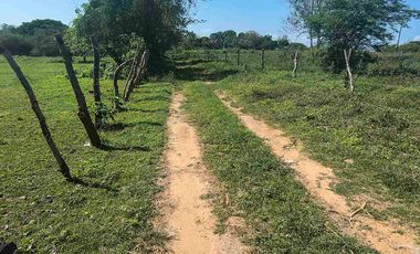 FINCA EN VENTA PUERTO BADEL ESPECIAL PARA PISCICULTURA - TEKA.