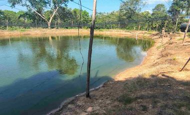FINCA EN VENTA PUERTO BADEL ESPECIAL PARA PISCICULTURA - TEKA.