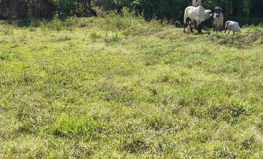 FINCA EN VENTA PUERTO BADEL ESPECIAL PARA PISCICULTURA - TEKA.