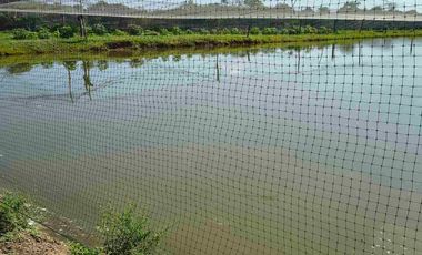 FINCA EN VENTA PUERTO BADEL ESPECIAL PARA PISCICULTURA - TEKA.