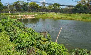FINCA EN VENTA PUERTO BADEL ESPECIAL PARA PISCICULTURA - TEKA.