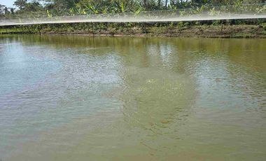 FINCA EN VENTA PUERTO BADEL ESPECIAL PARA PISCICULTURA - TEKA.
