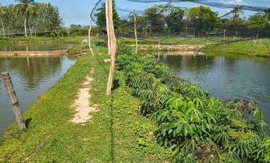 FINCA EN VENTA PUERTO BADEL ESPECIAL PARA PISCICULTURA - TEKA.