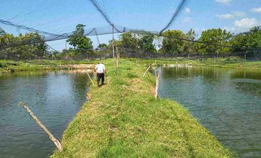 FINCA EN VENTA PUERTO BADEL ESPECIAL PARA PISCICULTURA - TEKA.