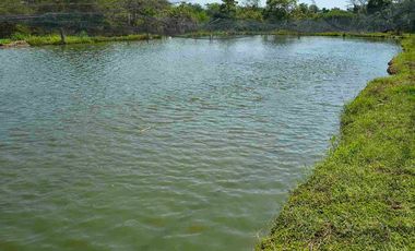 FINCA EN VENTA PUERTO BADEL ESPECIAL PARA PISCICULTURA - TEKA.