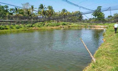 FINCA EN VENTA PUERTO BADEL ESPECIAL PARA PISCICULTURA - TEKA.