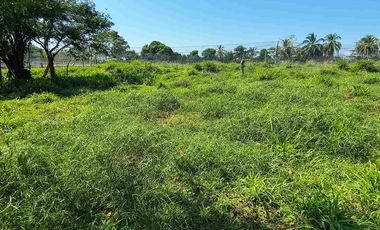 FINCA EN VENTA PUERTO BADEL ESPECIAL PARA PISCICULTURA - TEKA.
