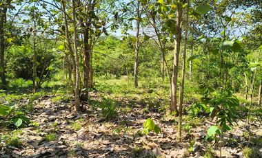 FINCA EN VENTA PUERTO BADEL ESPECIAL PARA PISCICULTURA - TEKA.