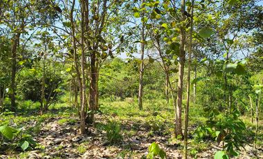 FINCA EN VENTA PUERTO BADEL ESPECIAL PARA PISCICULTURA - TEKA.